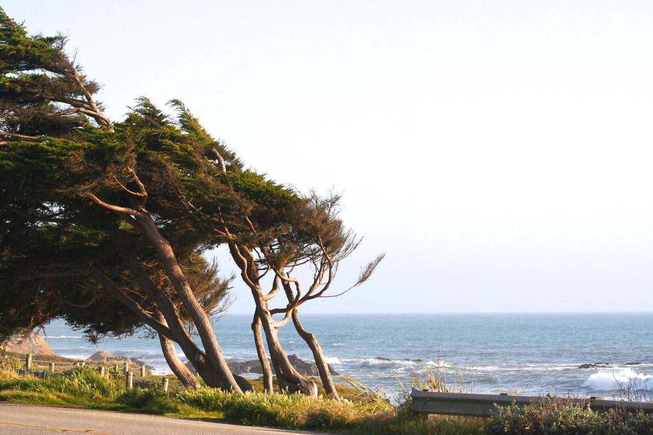 Captain'S Cove Inn Cambria Buitenkant foto